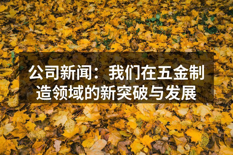 新自动化生产线的投入使用